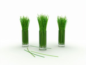 税务筹划